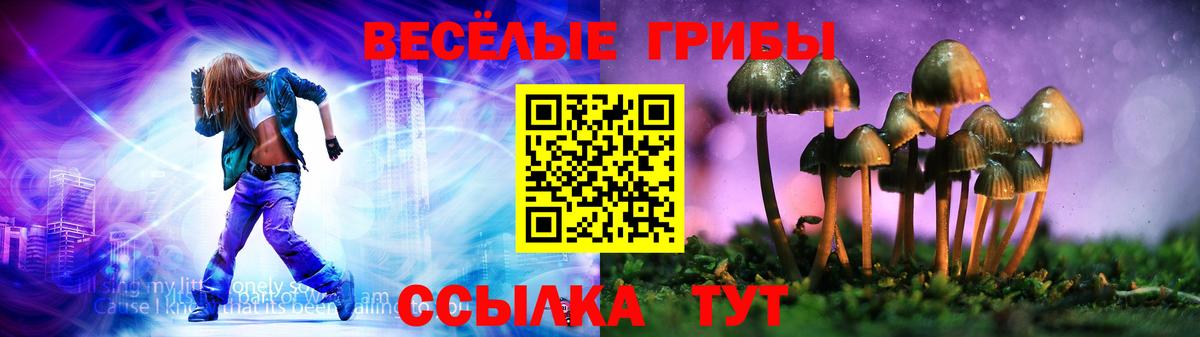 Томск  Галлюциногенные грибы мухоморы  Вход с VPN  наркошоп  Галлюциногенные грибы MAGIC MUSHROOMS 